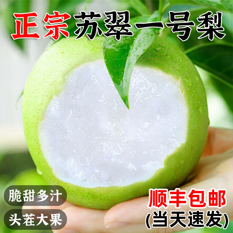 梨子新鲜水果翠蜜梨苏翠