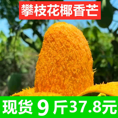 四川攀枝花椰香芒果新鲜椰香鸡蛋芒水果新鲜整箱当季椰香芒大芒果