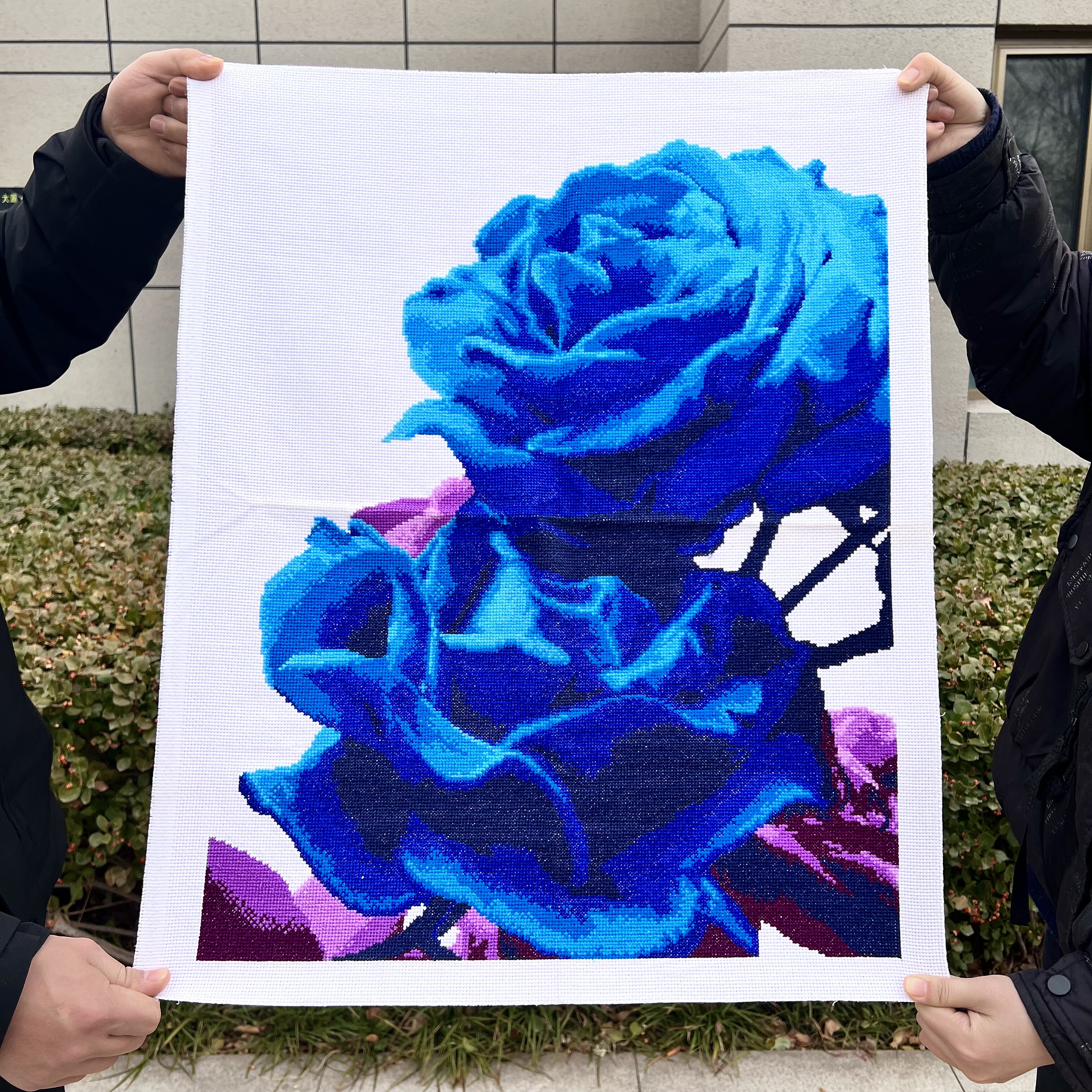 纯手工绣好的十字绣成品新款玫瑰花蓝色妖姬客厅装饰画竖版玄关,居家布艺,十字绣成品,淘宝优惠券,粉丝福利购,淘宝优惠卷