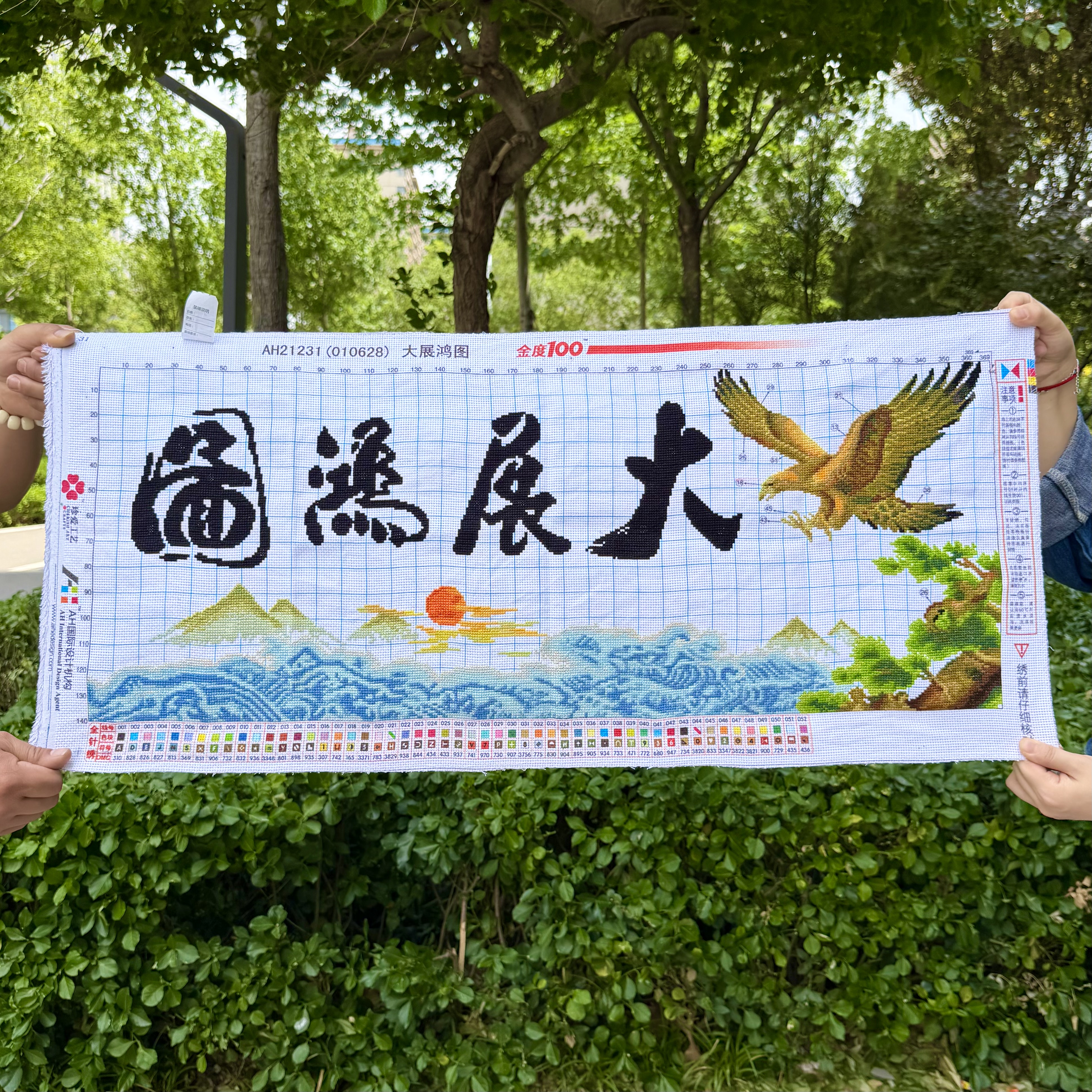 大展宏图纯手工绣好的十字绣成品新款大展鸿图客厅办公室雄鹰展翅