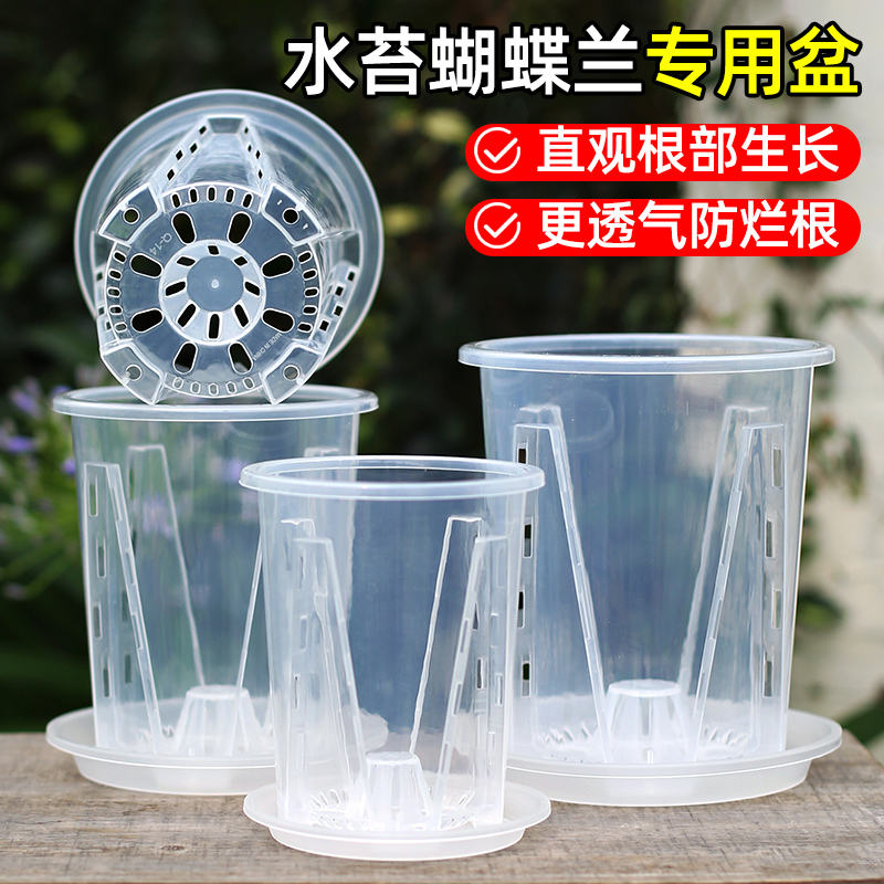 透明控根蝴蝶兰专业花盆树脂透气文心兰热植镂空塑料青山花盆家用