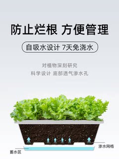 种菜盆悬挂花架栏杆家庭壁挂阳台式护栏花盆长方形铁艺置物架窗户