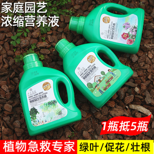 绿萝营养液花肥料盆栽通用型家用水培植物富贵竹花卉养花发财树肥