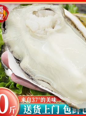 乳山生蚝鲜活海蛎子10斤净重4XL(18-26只)