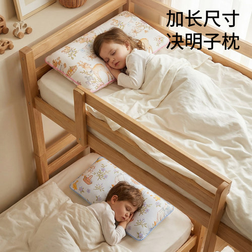 【加长加大】儿童冷暖两用双芯枕