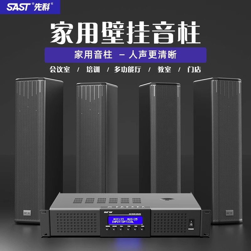 先科舞蹈室环绕音箱会议专用壁挂音柱健身房店铺家商用高保真音响