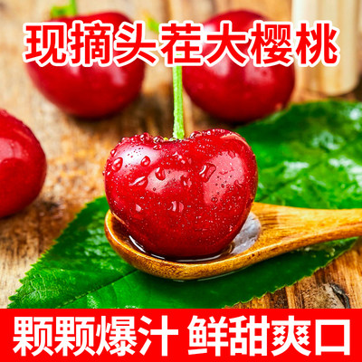 山东新鲜现摘饱满多汁车厘子樱桃