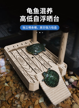 乌龟晒台浮岛石头龟缸