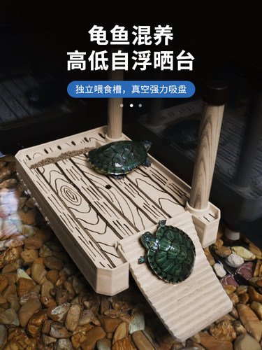 乌龟晒台浮岛石头龟缸