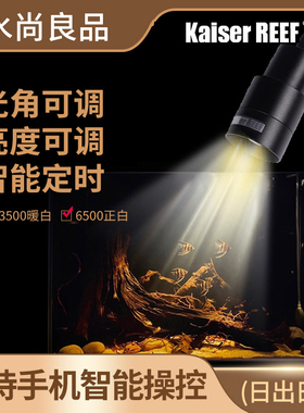 Kaiser凯撒鱼缸射灯南美三湖慈鲷原生溪流缸造景专用LED水族射灯