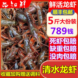 小龙虾鲜活789钱盱眙大青虾红虾淡水虾清水虾活虾生鲜5斤顺丰 包邮