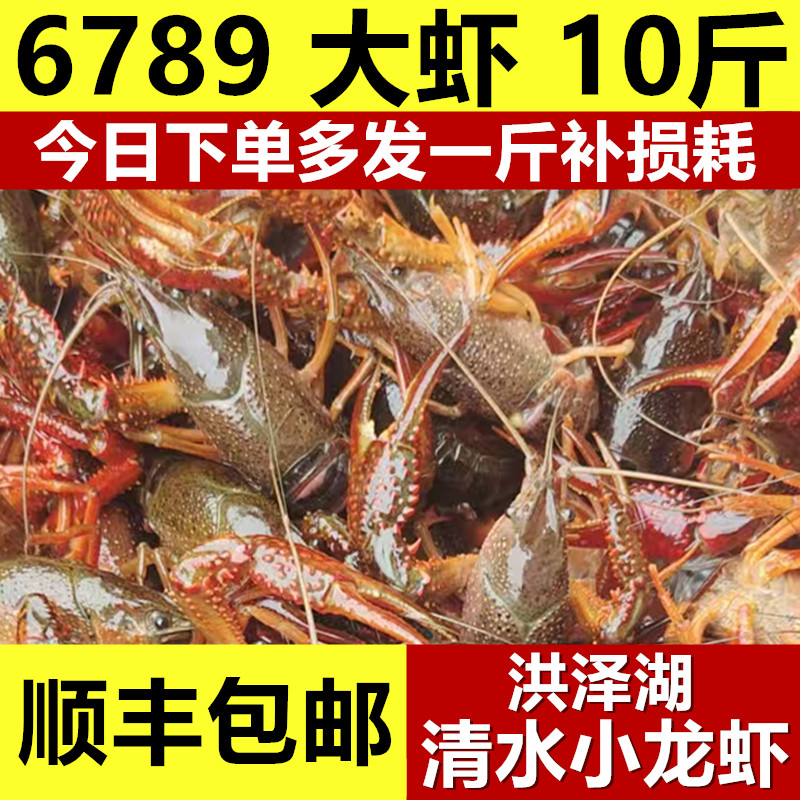 小龙虾鲜活6789钱盱眙洪泽湖大青虾红虾淡水虾清水虾活虾5斤10斤