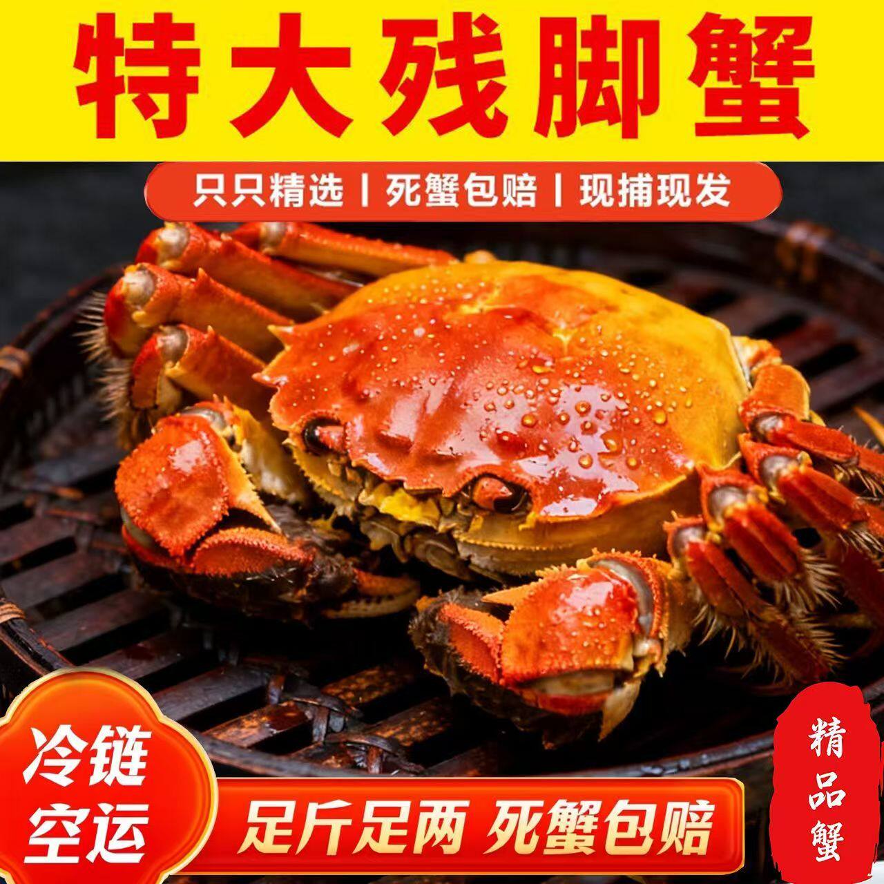 活蟹残蟹全母大闸蟹去绳净重洪泽湖螃蟹鲜活掉腿蟹九指八指公蟹