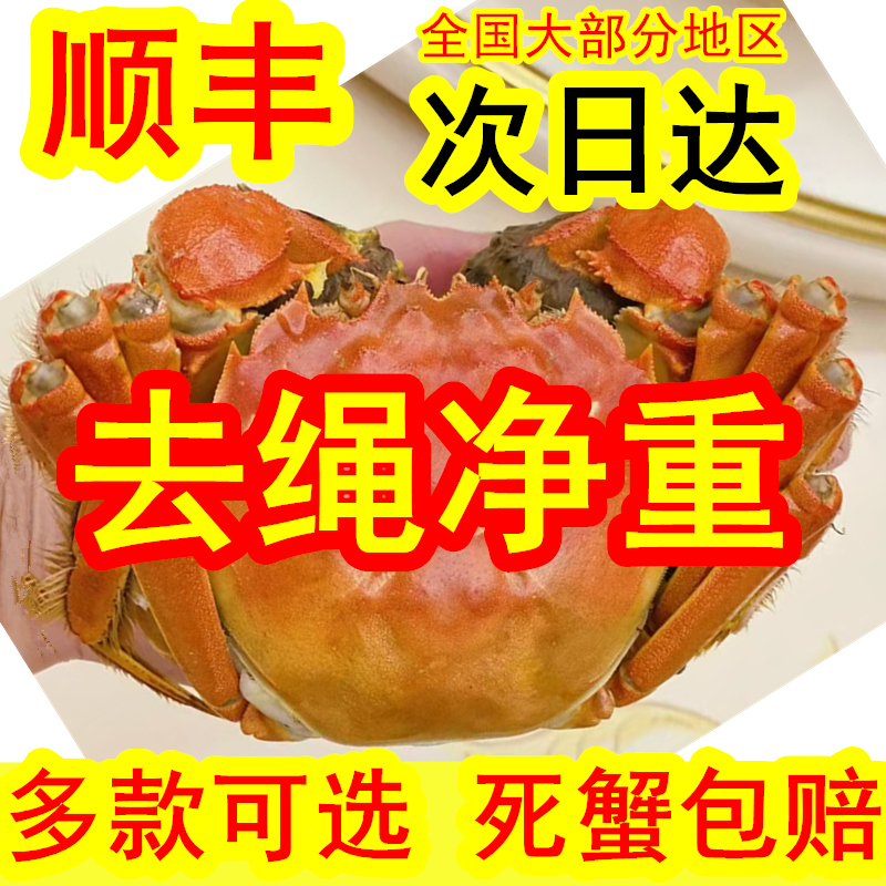 【活蟹】鲜活大闸蟹满黄蟹特大高品质螃蟹江苏水产海鲜现货旗舰店