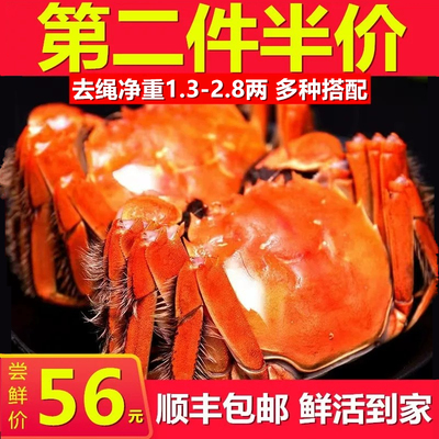 鲜活六月黄大闸蟹顺丰包邮