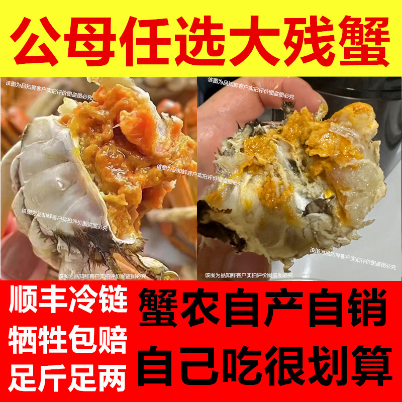 残蟹大号公母大闸蟹去绳净重洪泽湖螃蟹鲜活掉腿蟹精品九指八指蟹