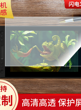 适用于绘王KAMVAS PRO 12，绘王GT-116数位屏屏幕贴膜类纸膜高清防指纹膜防爆防刮保护膜
