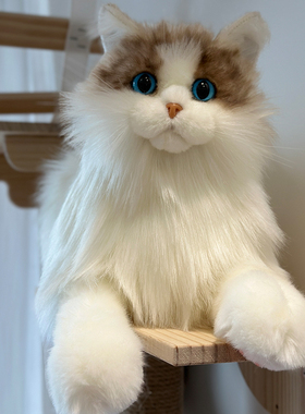 仿真猫咪布偶猫玩偶高端仿生小猫毛绒玩具送女孩儿童生日新年礼物