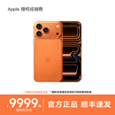 Max 晒单返200元 5G新款 上市 苹果 2025新品 Apple 全新未激活 iPhone 手机官方旗舰店官方正品 Pro