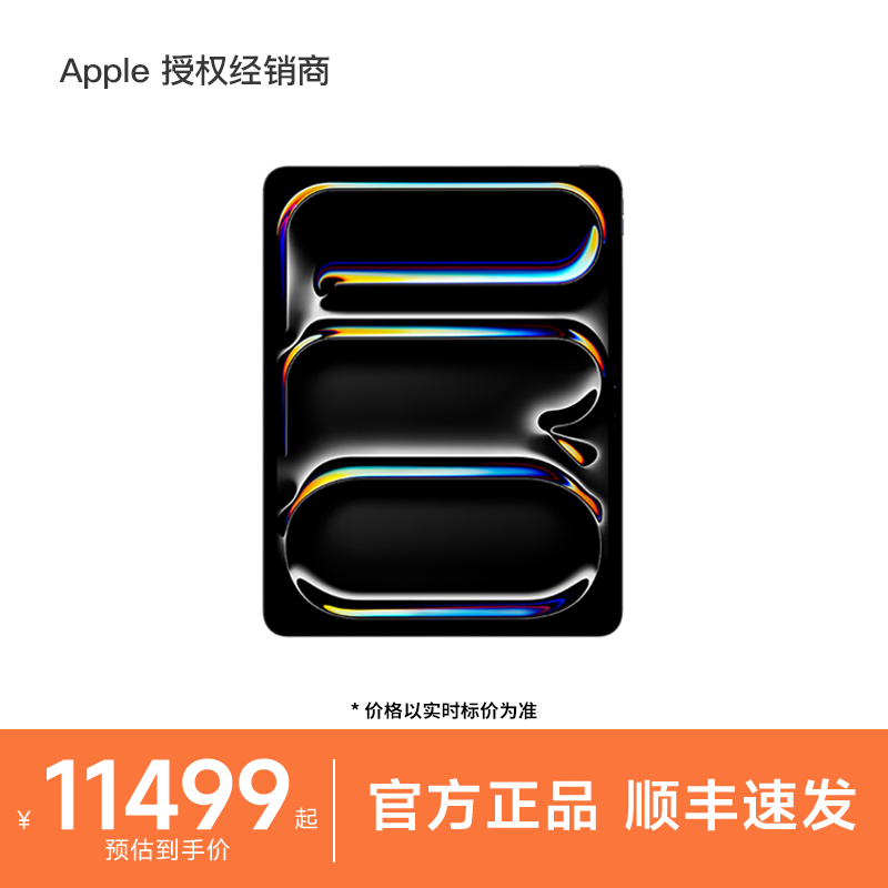 Apple/苹果iPadPro13英寸