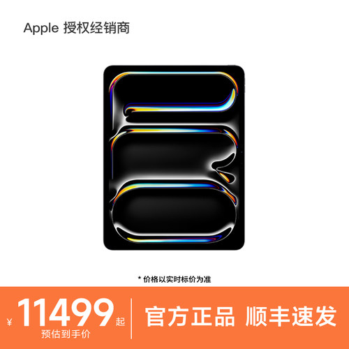 Apple/苹果iPadPro13英寸