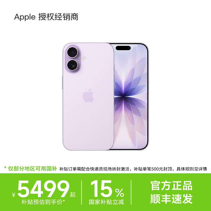 【国补500+以旧换新1200元】Apple/苹果 iPhone