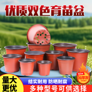 加厚一次性软塑料育苗盆种植简约双色杯营养钵种植草莓花盆多肉盆