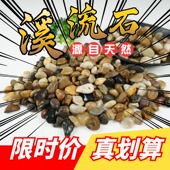 原生溪流石天然鹅卵石雨花石头鱼缸底砂造景装 饰铺路小石子