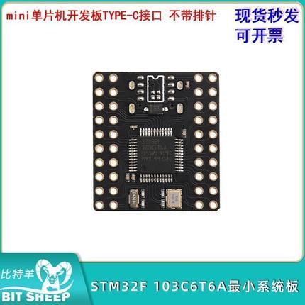 STM32F103C6T6A/C8T6 mini单片机开发板最小系统板TYPE-C接口