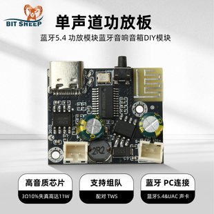 BPM13 Plus单声道功放板蓝牙5.4模块蓝牙音响音箱DIY模块Type C