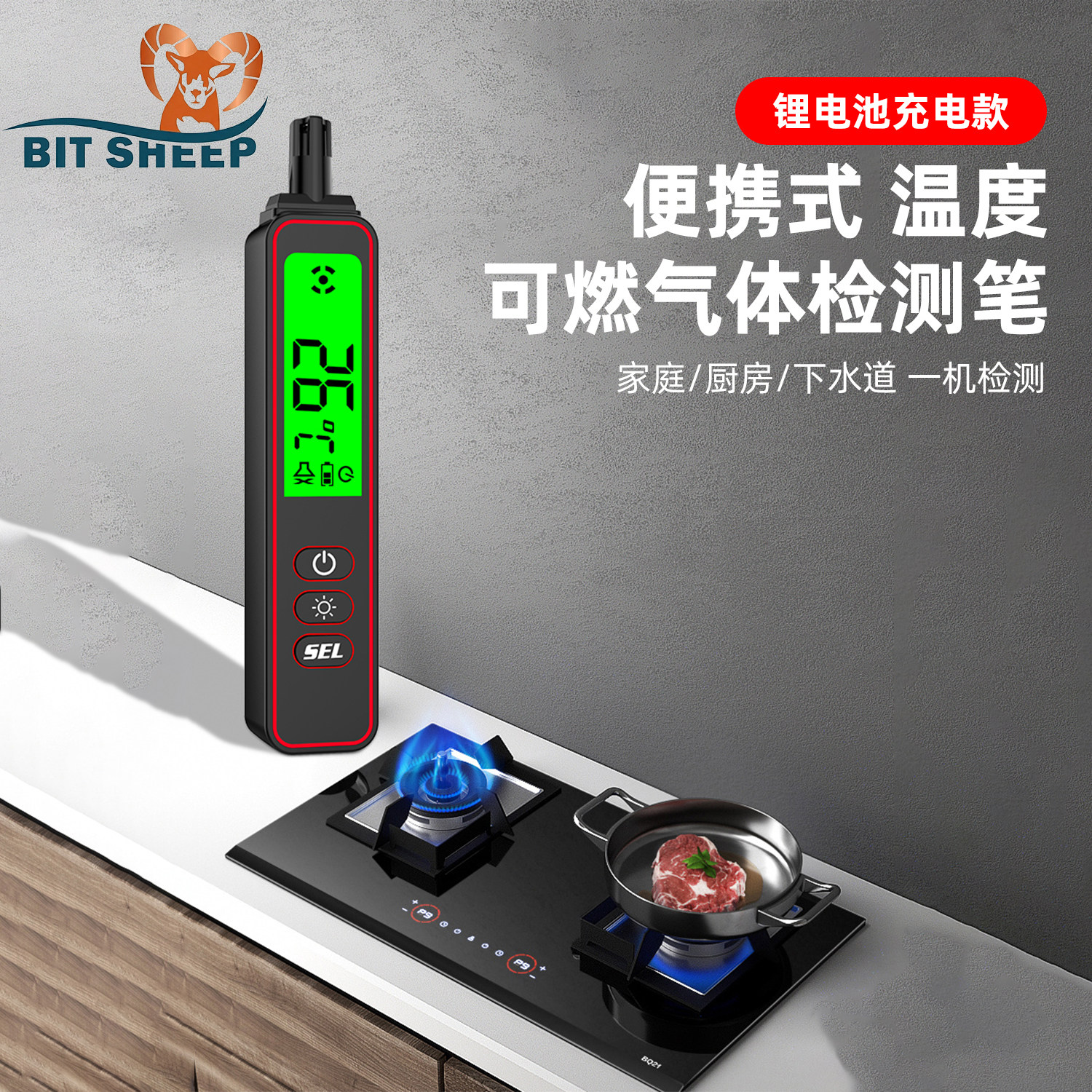 便携式充电款可燃气体探测仪