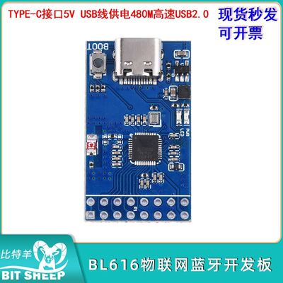 BL616物联网开发板RISCV内核