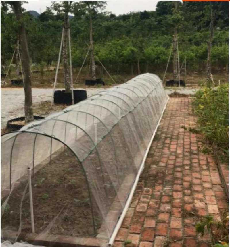 简易棚中小型蔬菜大棚温室大棚花卉种植全套加粗农用连体棚花亭