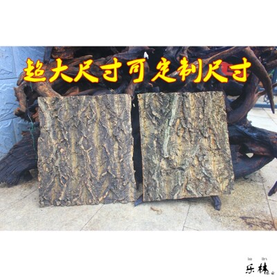 香槟木造景爬宠躲避香槟树皮橡树皮栓树皮鱼缸爬虫背景栎树皮