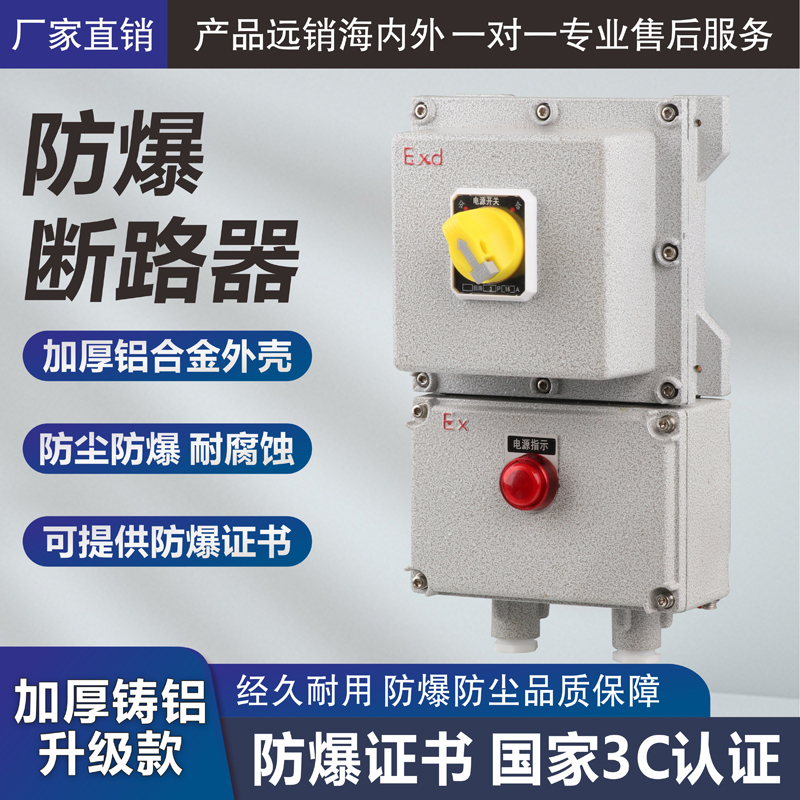 BDZ防爆断路器2P3P4P20A32A漏电防爆开关箱220V380V空开控制箱