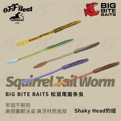 BIGBITEBAITS浮水拖尾路亚饵