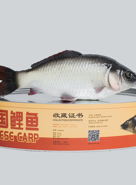 HOWstore 艺术家沈少民展览同款《中国鲤鱼》