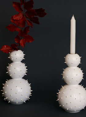 HOWstore Antibiotico Design仙人掌国王烛台&陶瓷花器节日礼物