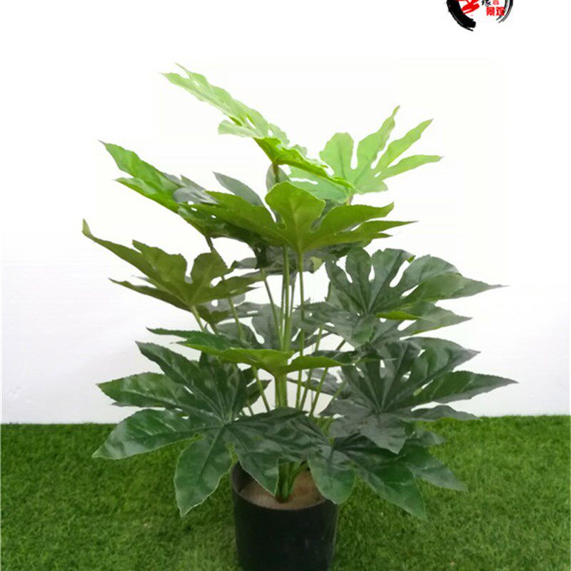 仿真八角金盘植物j把束绿植插花造景装饰室内金刚纂手树植物墙配