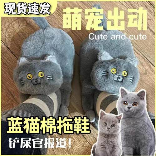 可爱蓝猫棉拖鞋搞怪秋冬季毛绒情侣一对高颜值室内家居男女保暖sq