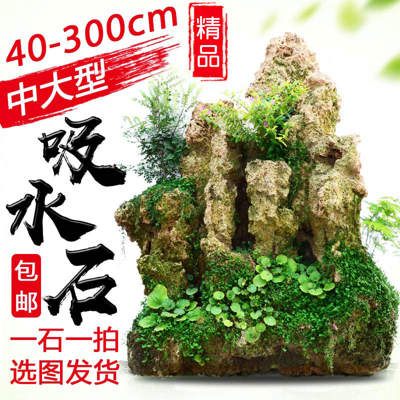 中大型吸水石上水石假山盆景奇石原石庭院园林造景镇宅石头观赏石
