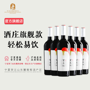 2021年 宁夏贺兰红赤霞珠干红葡萄酒6支整箱 山海情同款