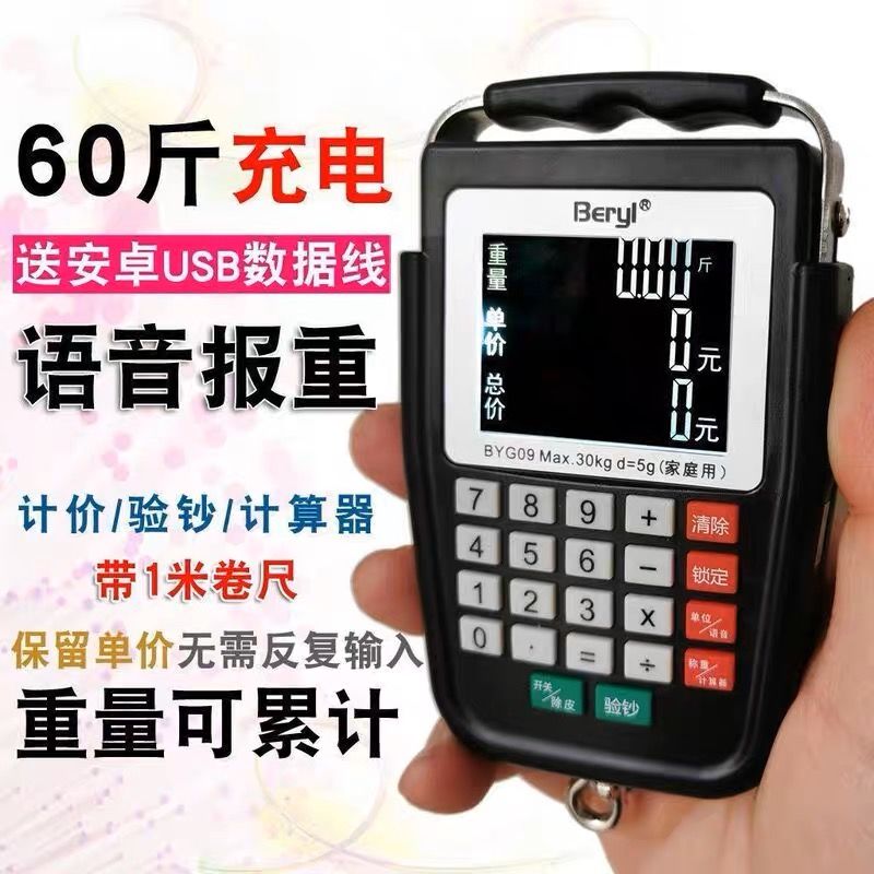 带语音充电计价手提秤精