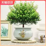 Сяайянская старая куча бонсай цветочные растения Four Seasons Evergreen Ceramics Basin Герой гостиная в офисном стиле