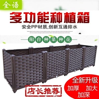 Посадка артефактов Extra Bowlo растительные коробки Семейство Семейство прямоугольные семена цветок цветок бассейн бассейн