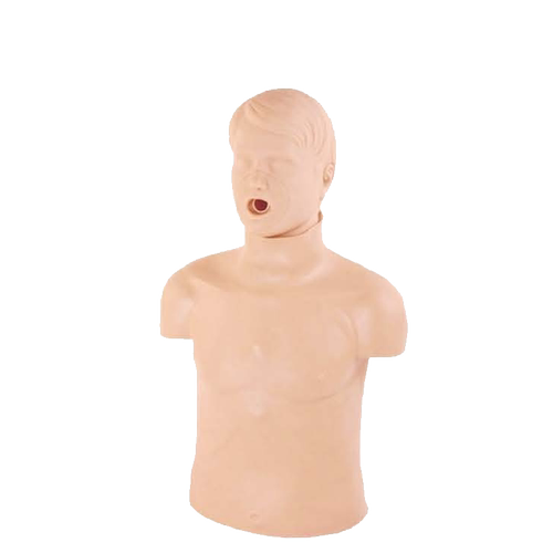 弘德医教HD/CPR155高级成人气道梗塞及CPR模型