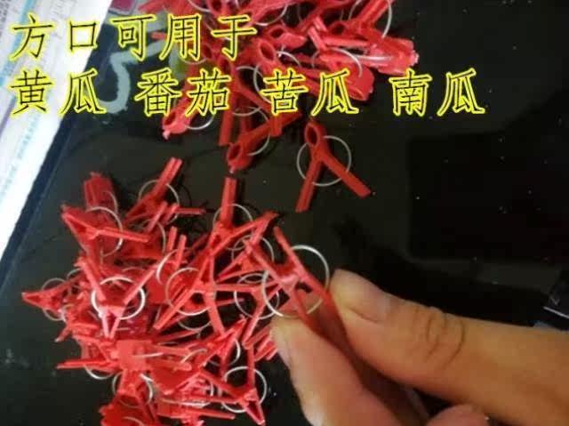 。塑料嫁接蔬菜黄s瓜夹圆口/方口专用大棚苗夹子农用西瓜蟹爪兰嫁在类目 鲜花速递/花卉仿真/绿植园艺, 园艺用品, 其它园艺用品中 - 来自Buy2taobao.com提供专业的淘宝代购服务