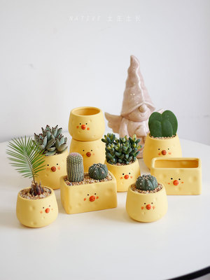 室内阳台桌面非常好养吸甲醛