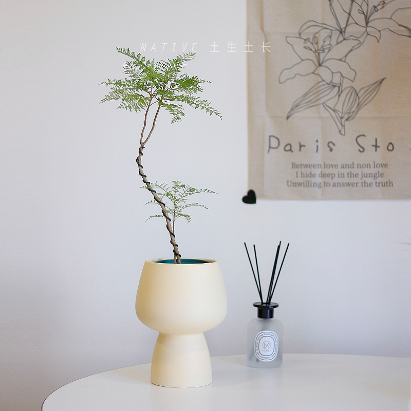 土生土长蓝花室内外造型艺术盆景