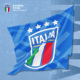 官方正版 意大利国家队｜运动健身吸汗柔软队徽球迷速干毛巾